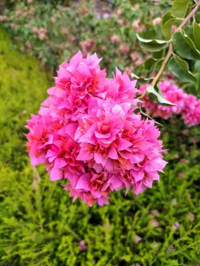 Photograph by Prakrisht Dahiya